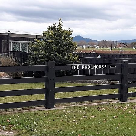 Bed and Breakfast The Poolhouse Matamata Exteriér fotografie